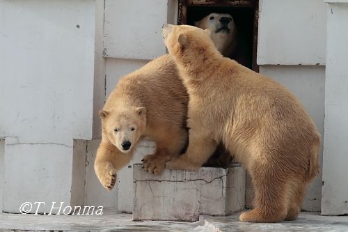 12月5日のイコキロ誕生会