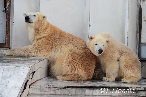 昨年12月6日の甘えん坊さん