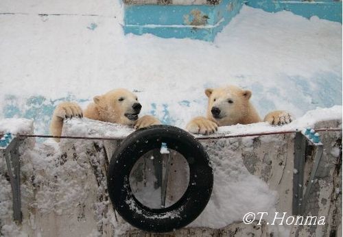 頼れるお母さん