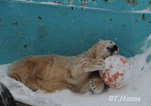 一年前の12月20日