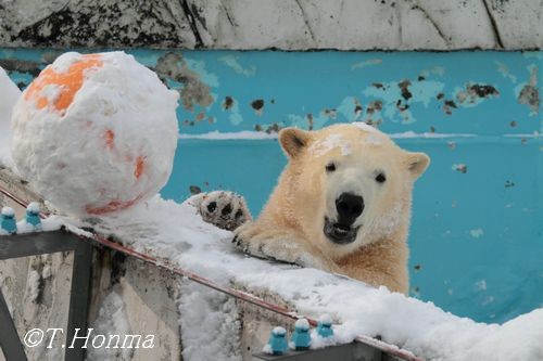 昨年12月20日のつづき