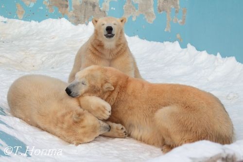 ちょうど１年前の12月23日