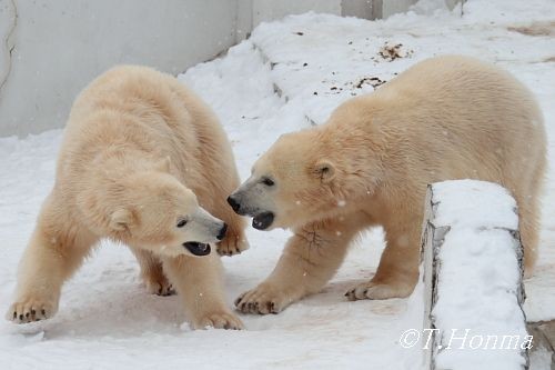 23日の終わりまで