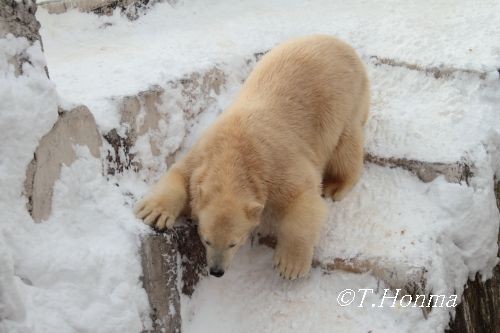 23日の階段の動画