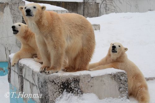 1年ちょっと前の12月27日