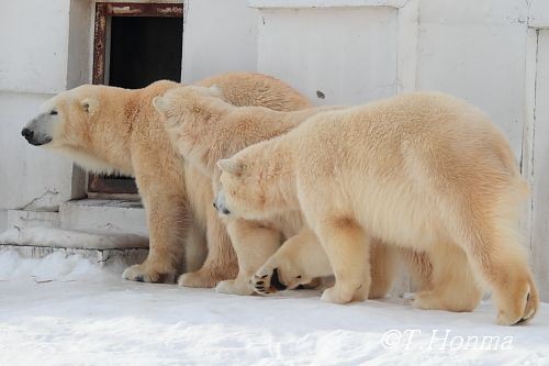 ちょうど1年前の1月3日の授乳
