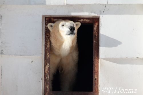 ちょうど1年前の1月４日のララさん