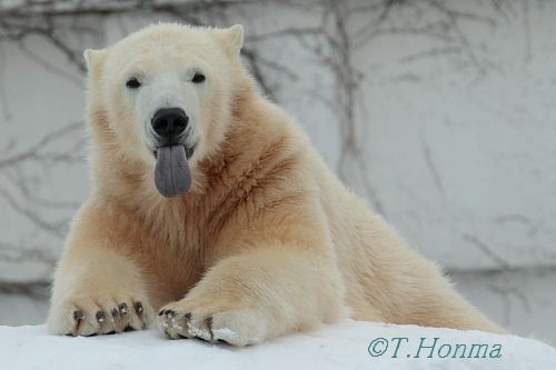 昨年１月４日の夕方