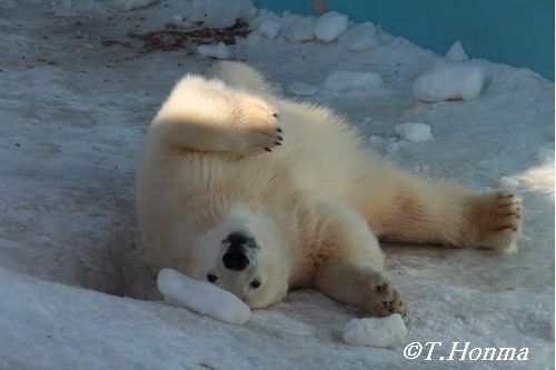 １年前の１月１０日