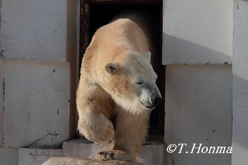 昨年１月１１日の９時半ごろ