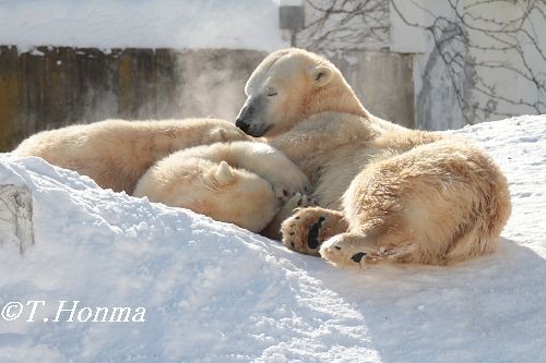 昨年１月１７日のお昼寝