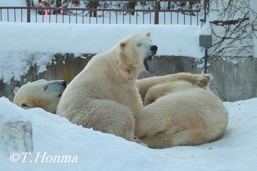 昨年１月１７日の授乳まで