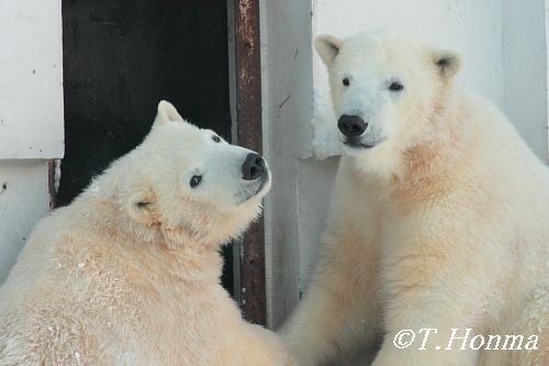 昨年1月17日のラスト