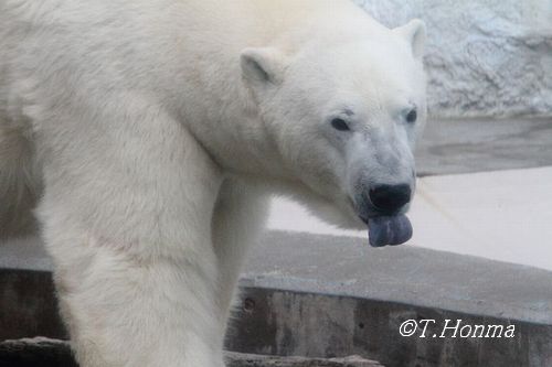 すっかり忘れてた