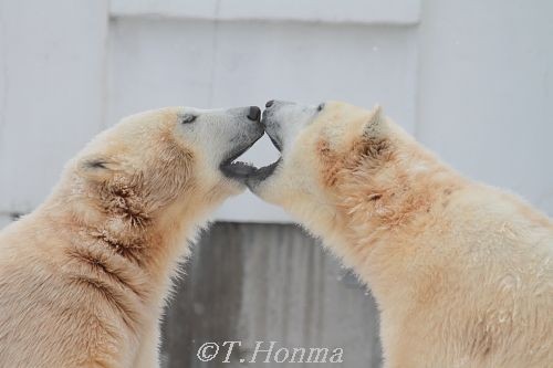 ちょうど一年前の1月23日