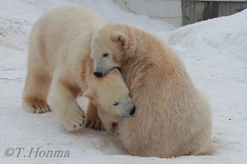 ちょうど一年前の1月23日の続き