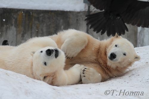 ちょうど一年前の1月23日の視線