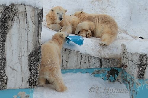 キロちゃんに気がついたイコちゃん