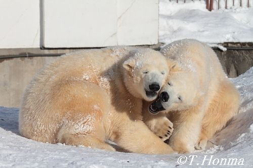 ちょうど一年前の1月３０日