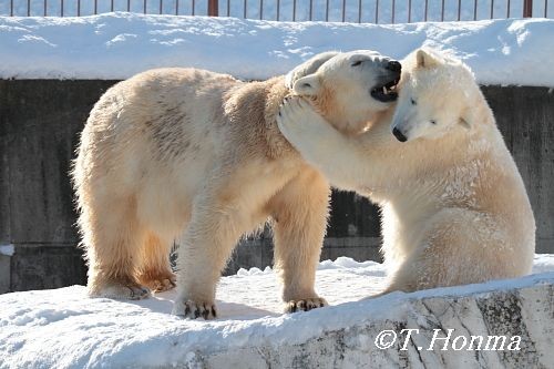 ちょうど一年前の1月３０日の続き