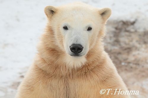 ちょうど一年前の1月３０日の終わり