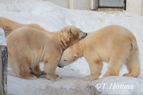 一年前の1月３１日