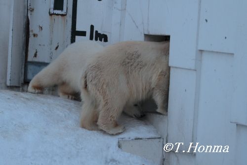 ちょうど1年前の2月4日の夕方