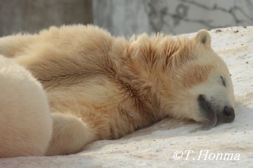 2月4日の日々成長しています