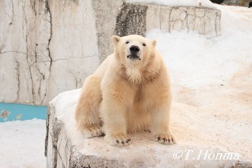 2月4日のキロちゃん