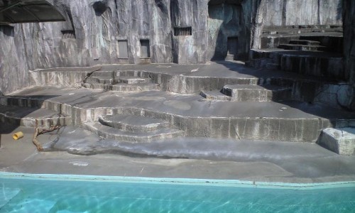 神楽イン浜Ｚｏｏ