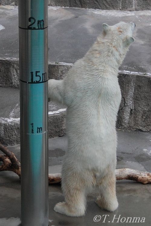 キロルのおやつタイム前