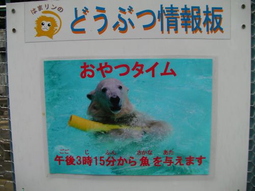 キロルのおやつタイム（２０日ラスト）