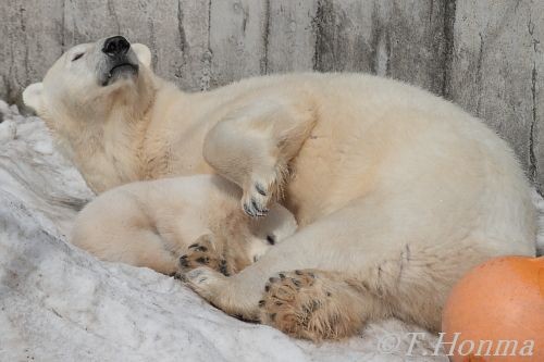 ４月２日に行ってきた