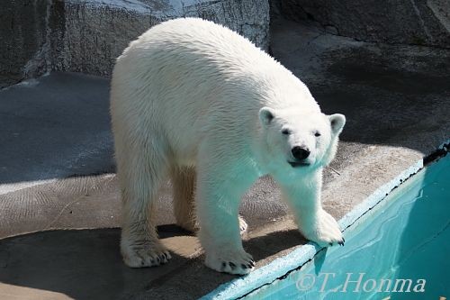 今日のキロル　４月２４日浜松市動物園