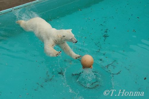 食後の浮き遊び