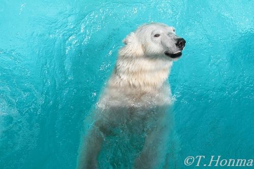 キロルのどっきり