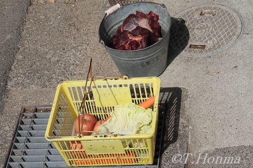 キロル　浜松でのご飯は