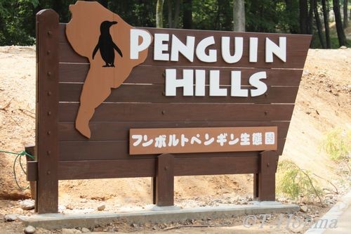 ペンギンヒルズ-埼玉こども動物自然公園