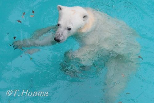 ６月１１日　の　キロル　浜松市動物園