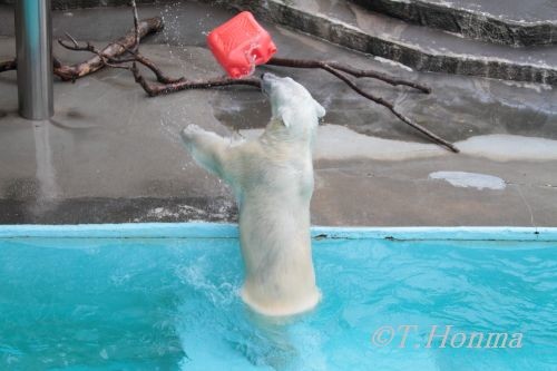 まだまだ１１日の１１時のキロル