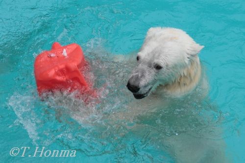 少し選んで６月１１日のキロル