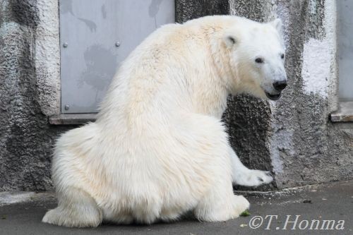 キロル　浜松　６月１１日１２時前