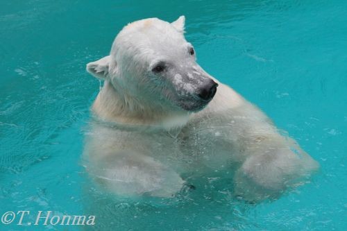 6月１１日のおやつタイム