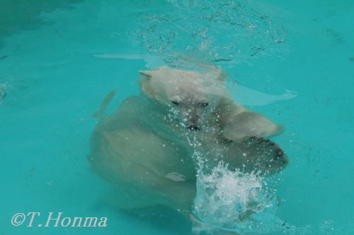 キロルはちゃんと覚えてた