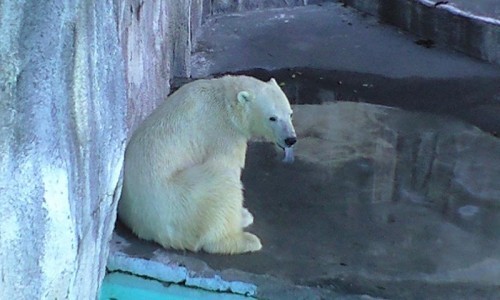 バテ気味