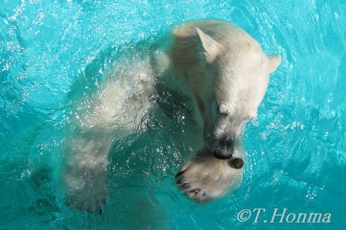 この実何の実気になる実