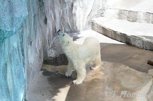 お昼までのキロル目に付いた写真を
