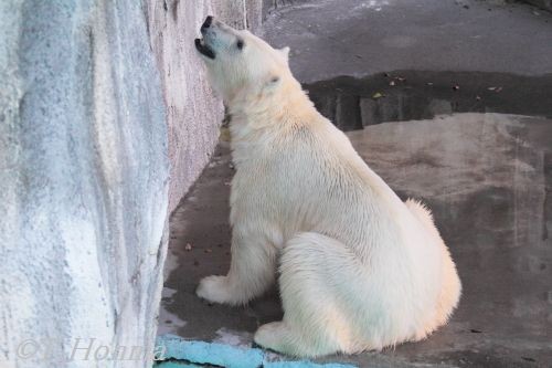 浜松　キロル　７月１７日の１４時から１５時まで