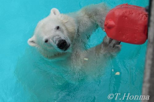 １８日のキロルとポリタンさらに続き