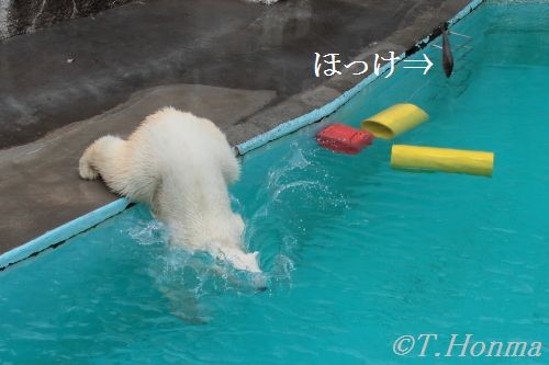 ホッケでおやつタイム　７月１８日　浜松　キロル
